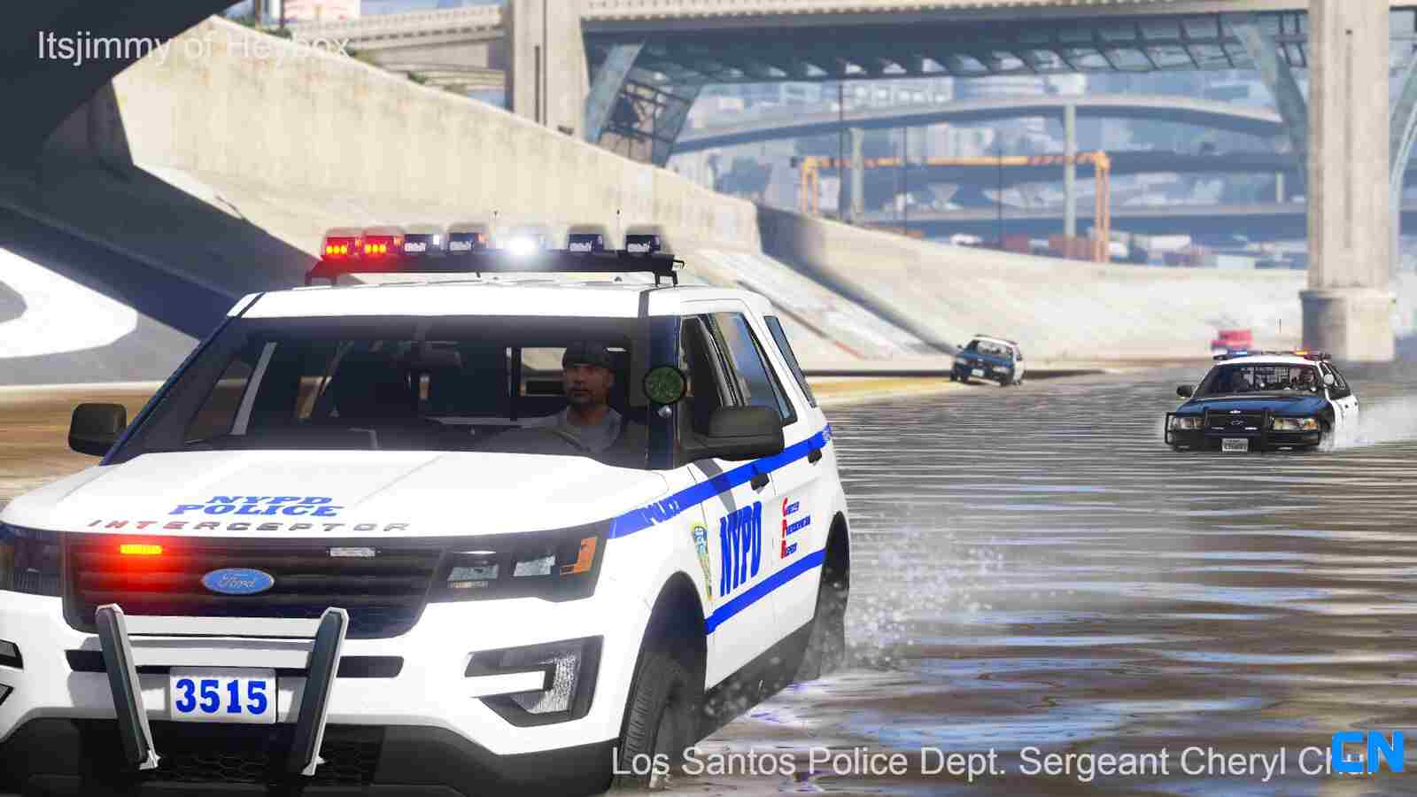 NYPD in LS river