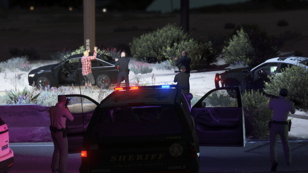 LSPDFR13.png