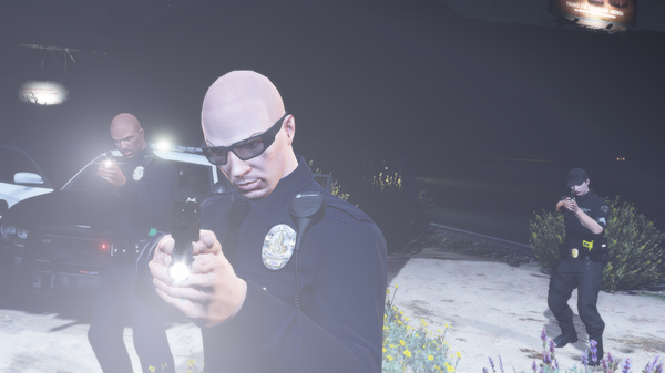 LSPDFR14.png