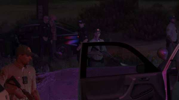 LSPDFR16.png