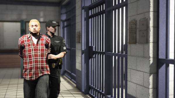 LSPDFR17.png