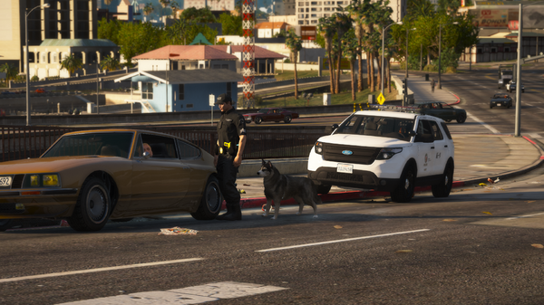 LSPDFR19.png