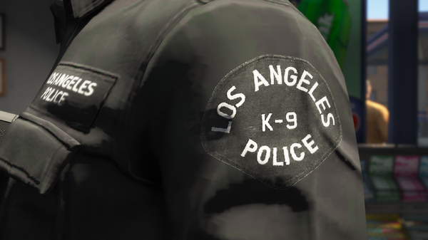 LSPDFR23.png