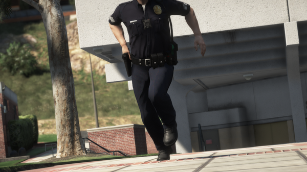 LSPDFR3.png
