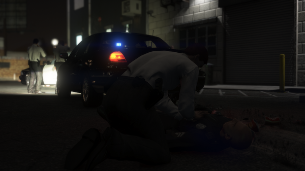 LSPDFR46.png
