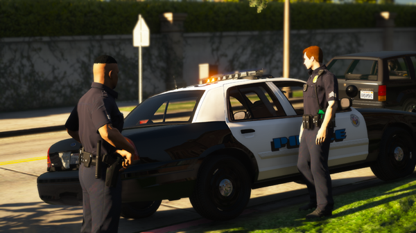 LSPDFR63.png