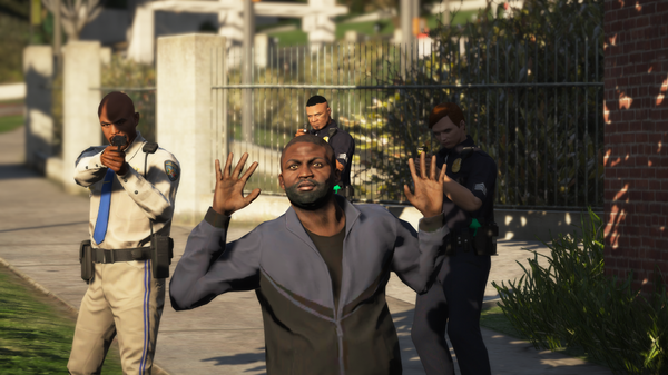 LSPDFR66.png