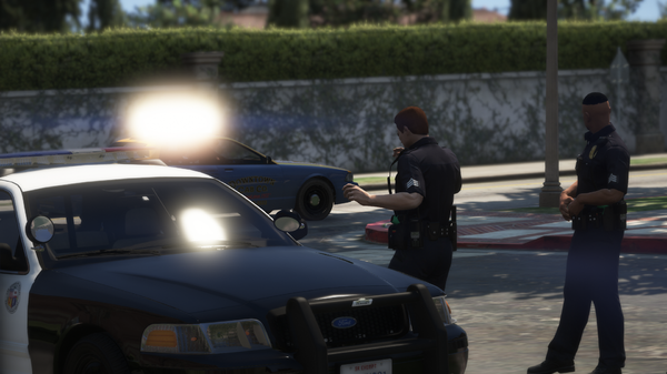 LSPDFR75.png